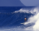 Surfer riding blue wave